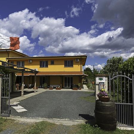 Albergo Luisss Grosseto Esterno foto